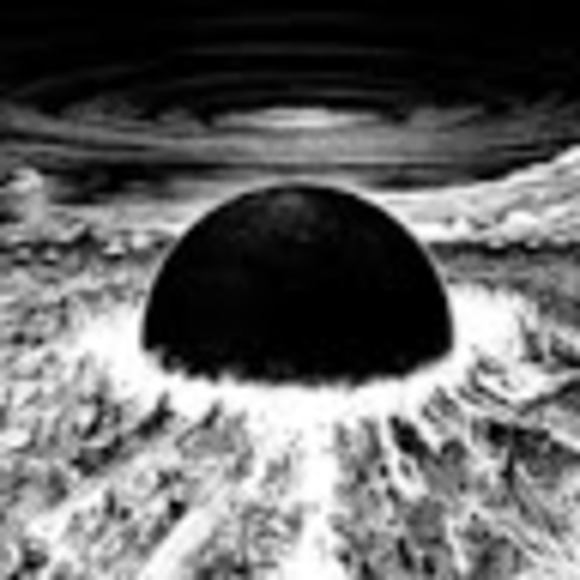 Meet your Posher, Ryan - Picture 1 of 1